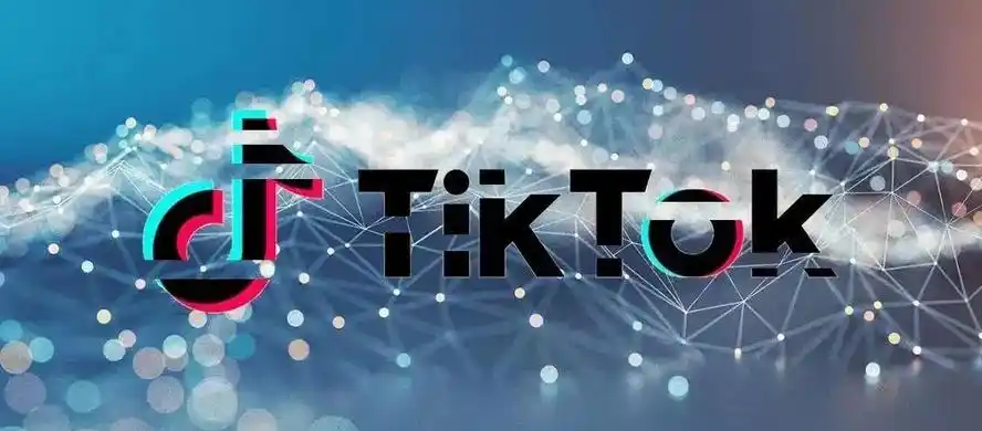 TikTok platform