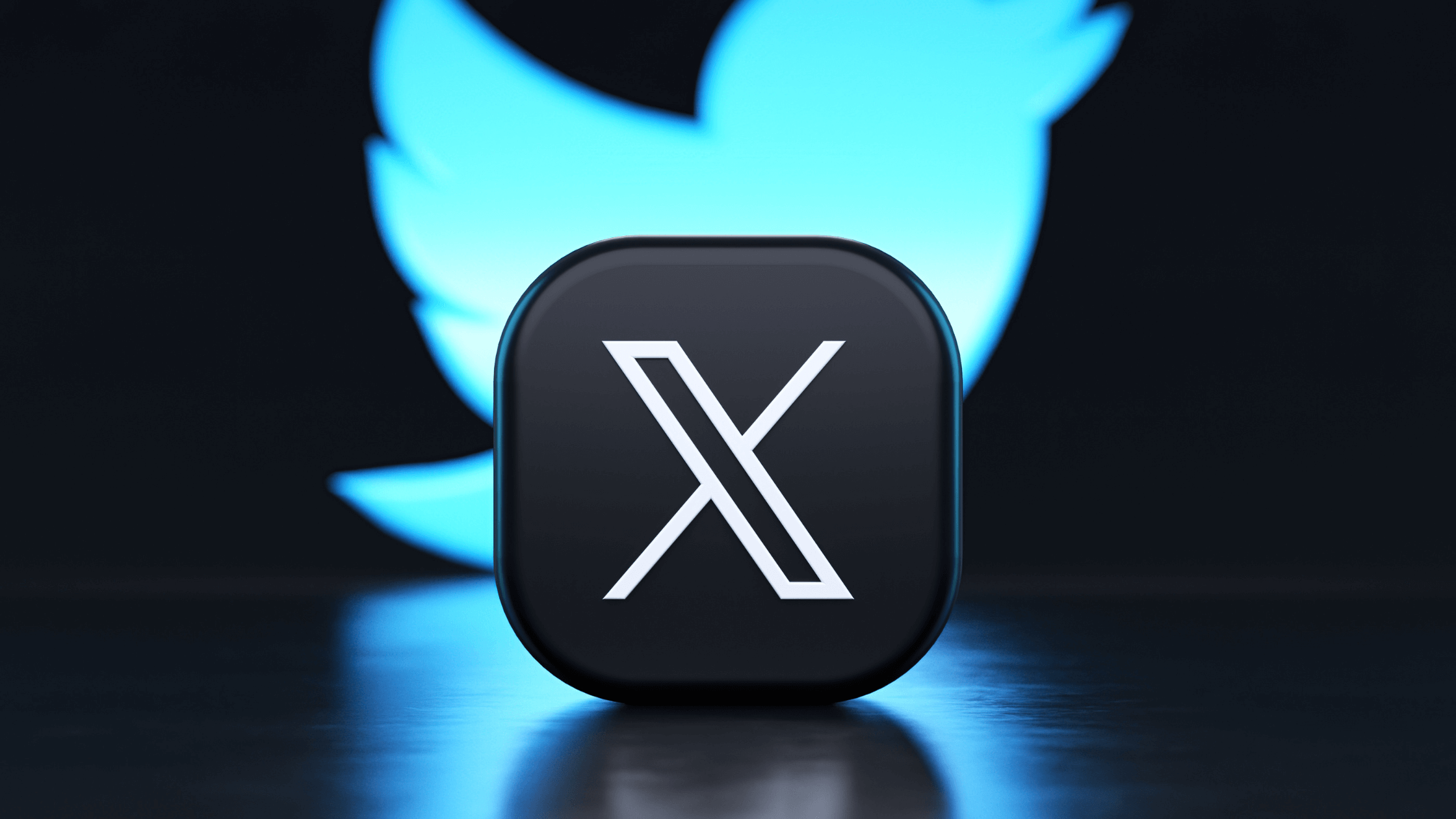 Twitter/X platform